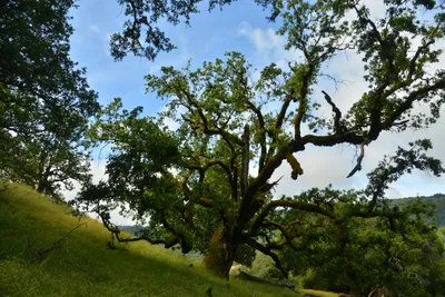 DSC_6786 (Large).JPG